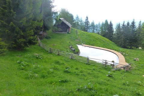 bergsee