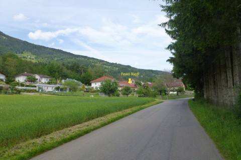 lendorf3
