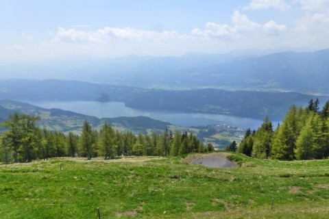 see2